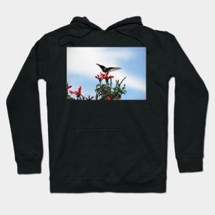 Bolivie - Colibri Hoodie